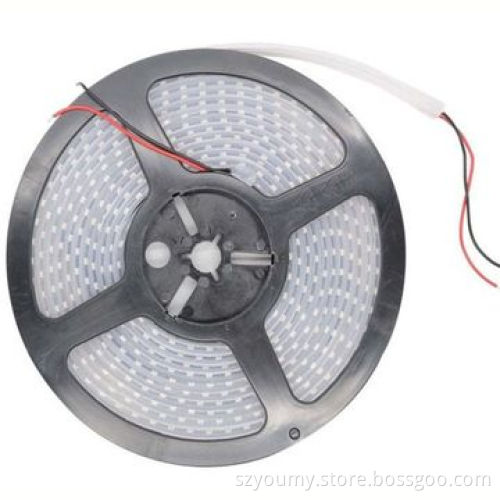 Warm White Double Row LED Flexible Strip Light, SMD 3528, Waterproof IP67, 240 LED/m